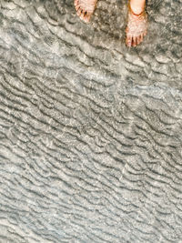 Low section of person standing on beach