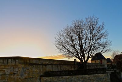 Bare trees against clear sky at sunset