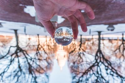 Close-up of hand holding crystal ball against bare trees during winter
