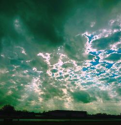 Low angle view of tree against sky