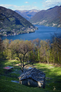 High angle view of trees by the sea