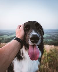 Cropped hand stroking dog on field against sky