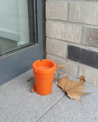 Close-up of orange leaf