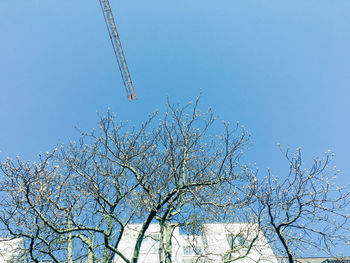 Low angle view of clear blue sky