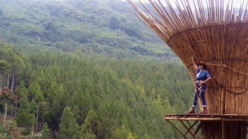 nature, tree, real people, lifestyles, full length, one person, standing, outdoors, beauty in nature, day, mountain, men