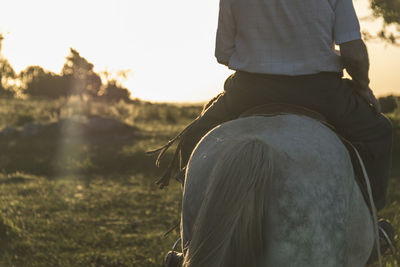 Rear view of man riding horse on land