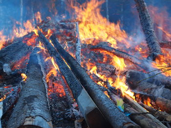 Logs burning in forest