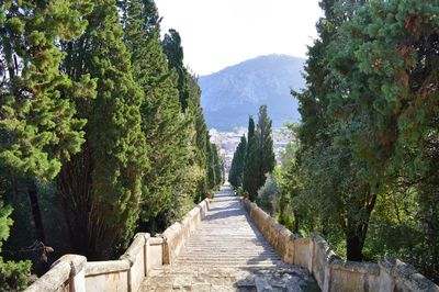 Footpath amidst trees and mountains