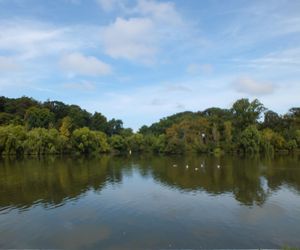 Scenic view of lake by trees against sky