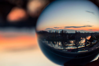 Reflection of trees in water