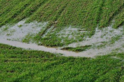 High angle view of field