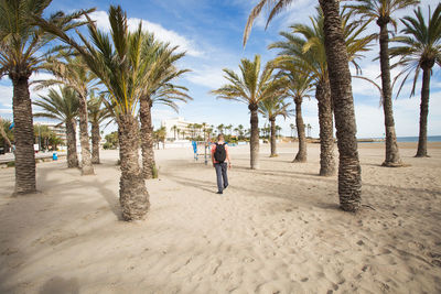 Rear view of man walking at beach