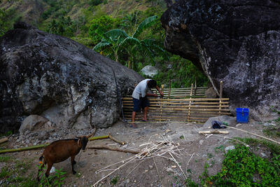 Man making fence with bamboo