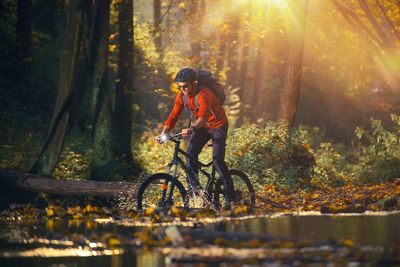 Man standing by tree in forest during autumn