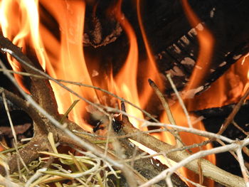 Close-up of bonfire