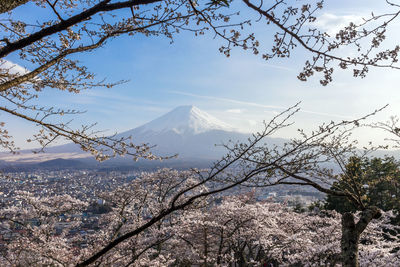 Scenic view of snow covered mountain against sky