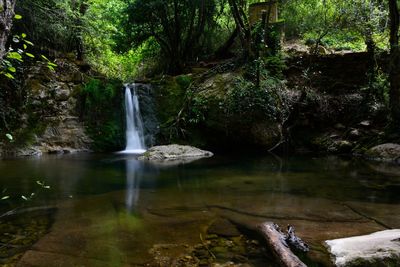 Scenic view of waterfall in forest