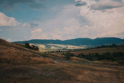 Scenic view of field against sky