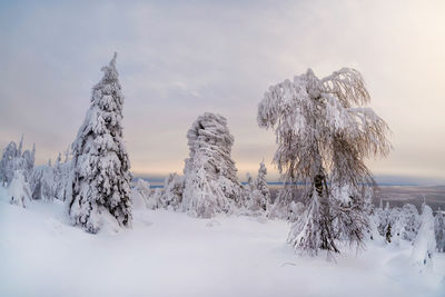 Panoramic view of snow covered landscape against sky