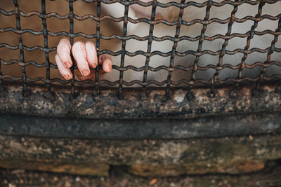 A monkey feeling loneliness and sadness behind jail.  placed in a cage in the zoo