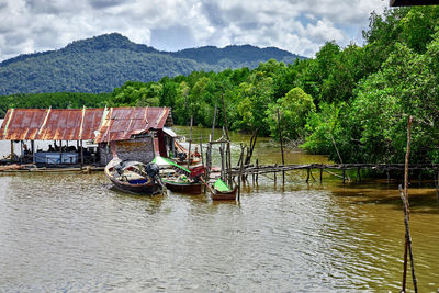 Tradition house boat with fishing boat in the mangrove forest