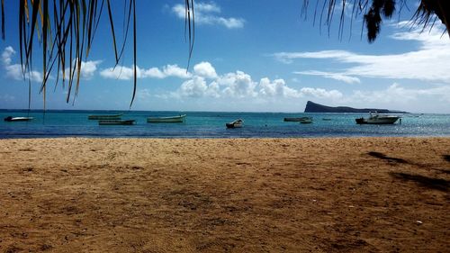 Boats in calm sea