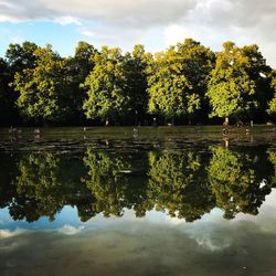 Trees by lake against sky
