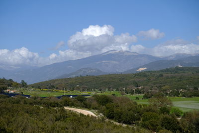 environment