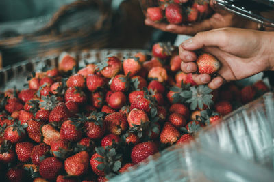 Close-up of hand holding strawberries at market