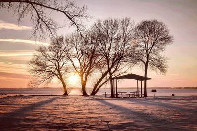 Bare trees on landscape against sea during sunset