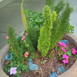 High angle view of potted plants