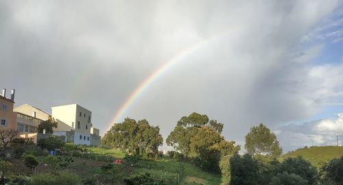 Rainbow over trees and buildings against sky