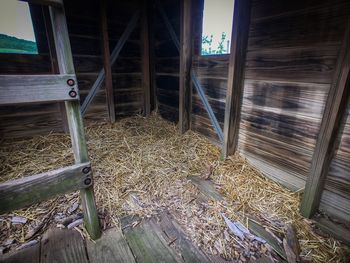 Low angle view of hay