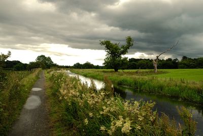 Scenic view of agricultural field against sky