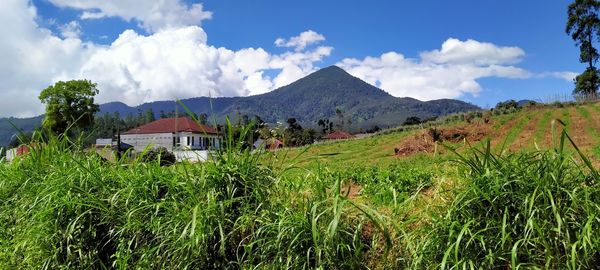 Scenic view of field and mountains against sky