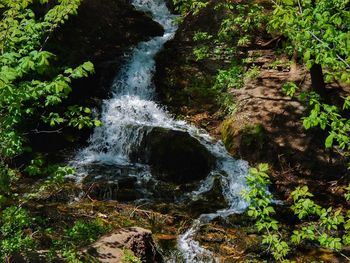 High angle view of waterfall in forest