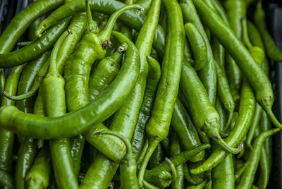 Close-up of green chili peppers for sale in market