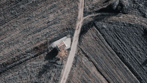 High angle view of wet wooden plank in forest