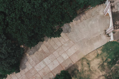 High angle view of footpath in garden