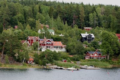 Scenic view of river amidst trees and houses in forest