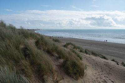 Scenic view of beach against sky