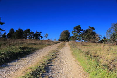 Road amidst trees against clear blue sky