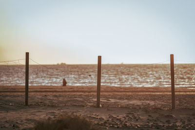 Wooden posts on beach against clear sky