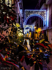 Illuminated street amidst buildings in city at night