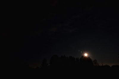 Low angle view of silhouette trees against sky at night