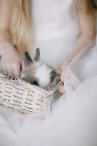 Midsection of woman holding rabbit in basket