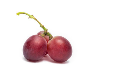 Close-up of tomatoes against white background