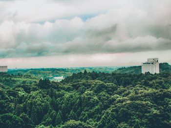 Trees and buildings against sky