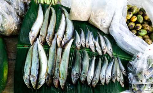 High angle view of fish for sale at market