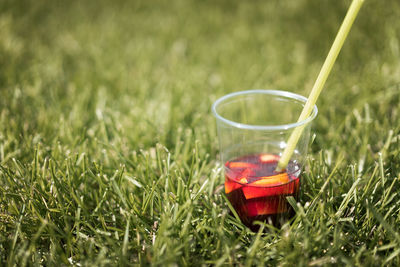 Close-up of drink on grassy field